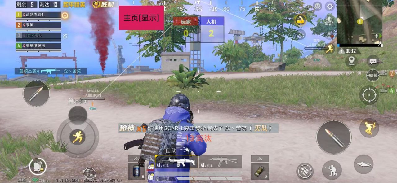 手机和平精英辅助透视
